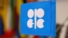 Логотип ОПЕК (OPEC)