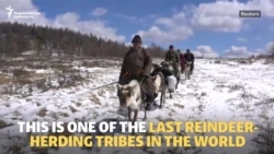 The Dukha: Mongolia's Last Reindeer Herders