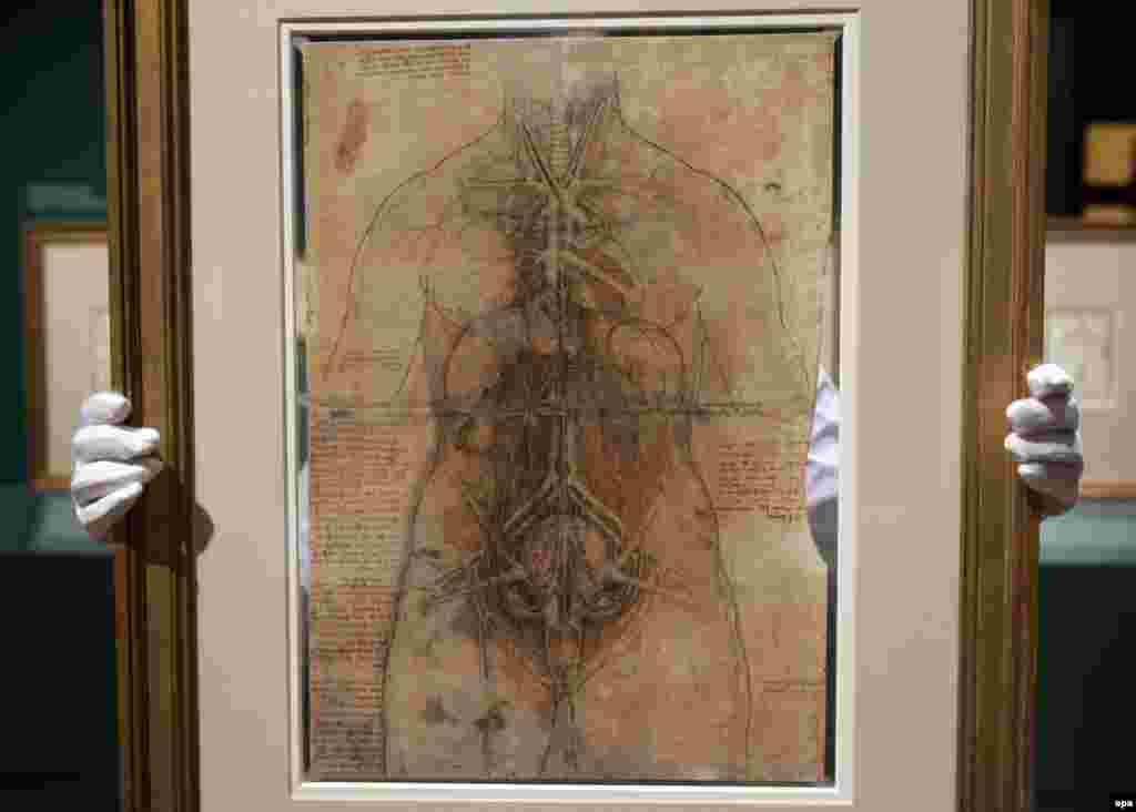 Izložba pod nazivom "Leonardo da Vinci: Anatomist", London.