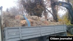 Незаконно вырубленные деревья, архивное фото.