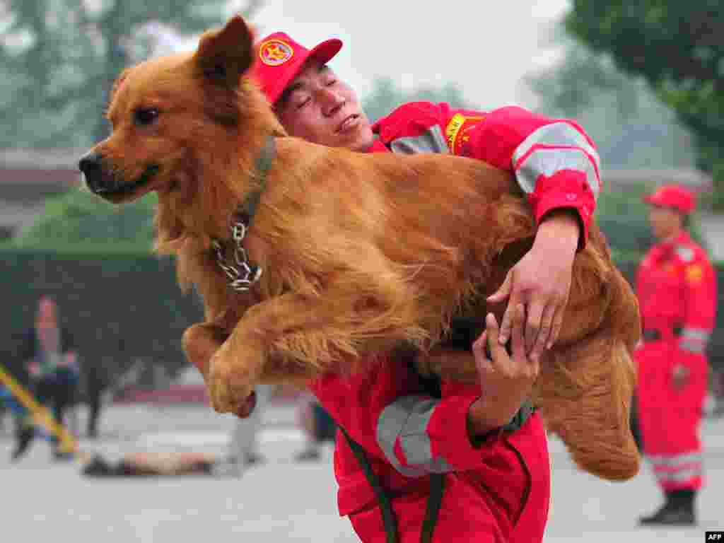 A search-and-rescue dog leaps through the arms of his trainer from the Engineering Regiment of the People's Liberation Army (PLA) during a demonstration on July 30 on the outskirts of Beijing. Photo by Frederic J. Brown for AFP