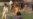 16x9 Image