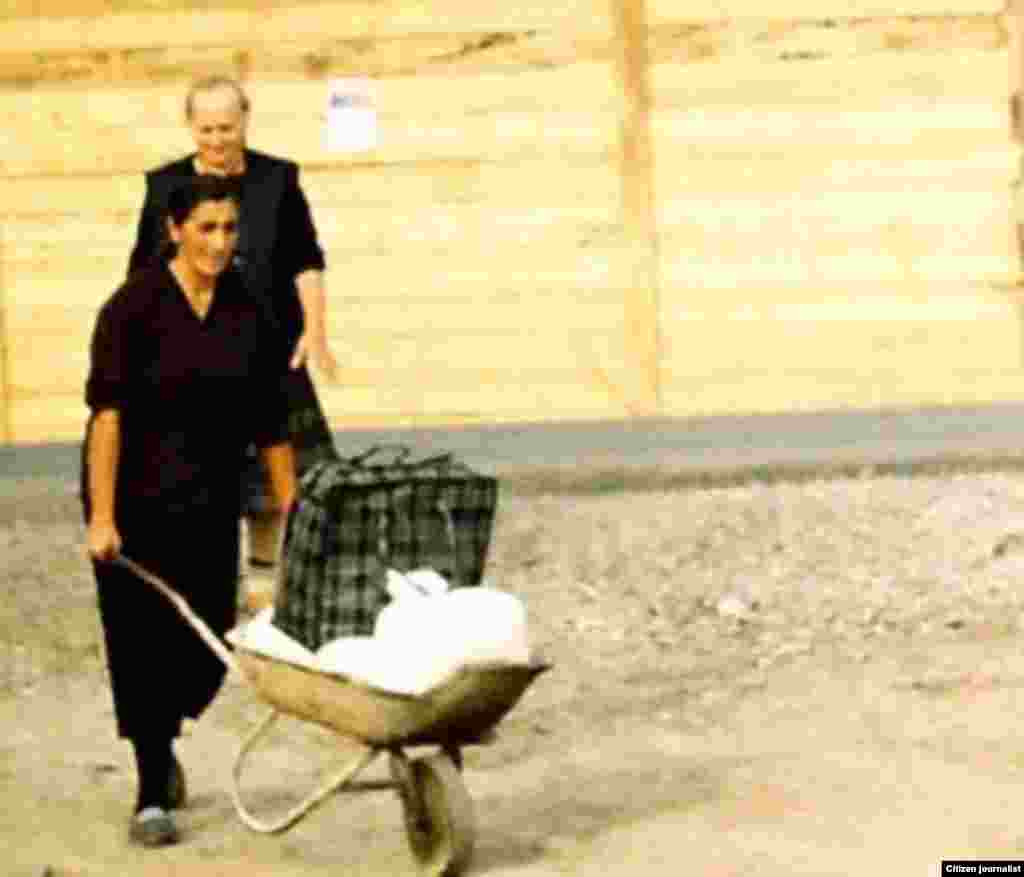 230 მაკა გოგალაძე: უსათაურო