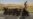 Syria Refugee Problem 'Acute'