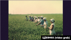 Крим, 1970-і роки, рисові чеки