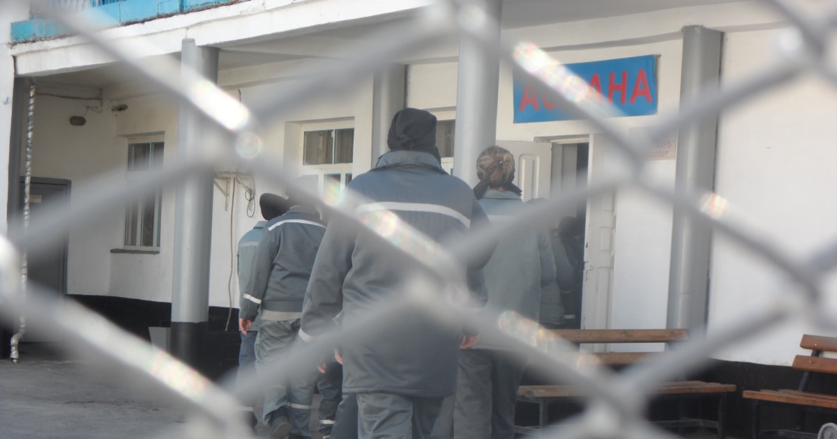 Алла Гришконың секс видеосы