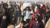 A Gázai Humanitárius Alapítvány közölte, hogy a háború sújtotta enklávé 11 hetes izraeli blokádja után mintegy 8000 doboznyi élelmiszer osztott ki, ami 462.000 adag ételnek felel meg