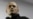 Russian Opposition Plans Rally