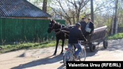 „Ei șed pe fotolii și au bani, au toate celea, dar noi?”