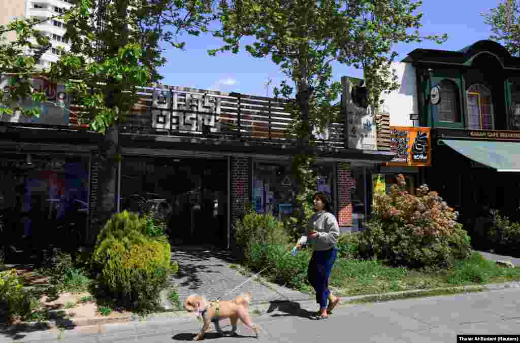 An Iranian woman walks her dog in an upmarket suburb of Tehran on April 15 during the cease-fire with the US.