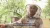Миллион на меде. Сколько зарабатывают пчеловоды Кыргызстана?