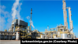 'Tejenkarbamid' zawody