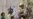 NATO Cedes Control Of Key Afghan City
