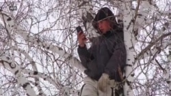 روسی زده کوونکی د انلاین زده کړو لپاره ونې ته خېژي