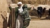 Pakistan Arrests 2 Senior Afghan Taliban