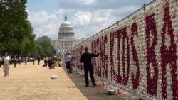 20.000 plišanih medvedića u centru Vašingtona za otetu ukrajinsku decu