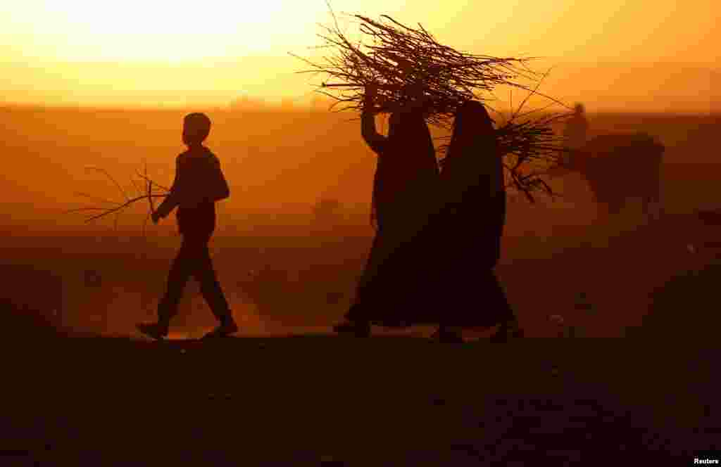 People displaced by fighting in and around Mosul carry firewood at a boundary of Kurdish territory near Bashiqa, Iraq. (Reuters/Goran Tomasevic)