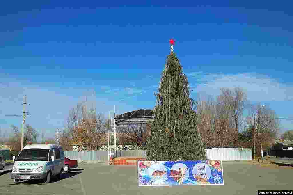 Баткен шаарынын балатысы 