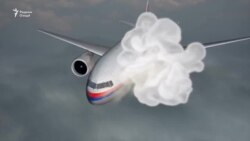 Ҳавопаймои мусофирбари Малайзияро кӣ сарнагун кард?