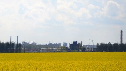 Градыент аўтаматамі сэрца фізіялогія гульнявыя апараты ў крамах