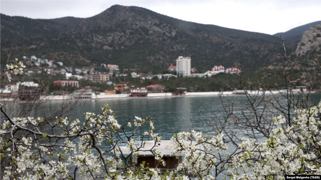 Novıy Svet qasabasında, Quş Qaya üzerindeki çiçek açqan çiçekler arasındanki sailniñ manzarası&nbsp;