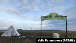 Кедровый питомник под Калининградом