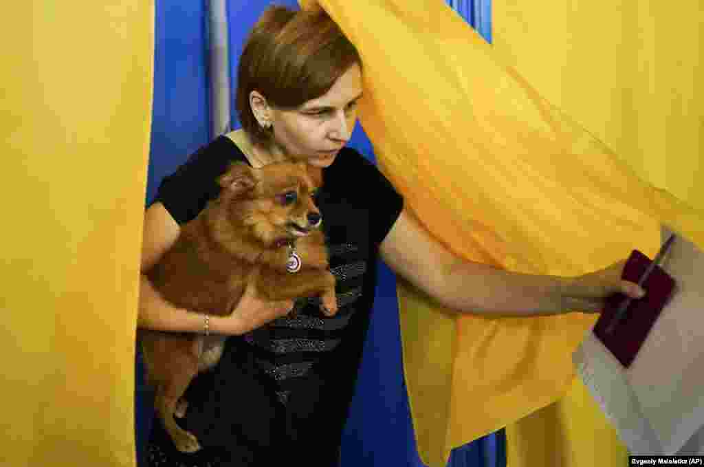Жінка з песиком виходить з кабінки на виборчій дільниці Києва