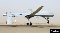 An unmanned Predator drone (file photo)