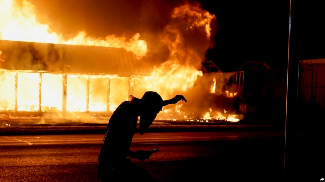 Сексуалды балапандар