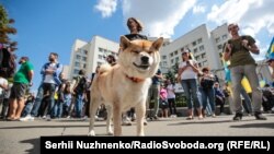 Фоторепортаж: мітинг на підтримку закону про люстрацію
