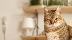 Ilustrativna fotografija