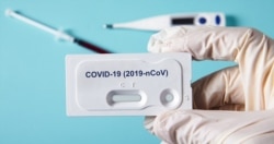 Georgia -- coronavirus quick test kit cover