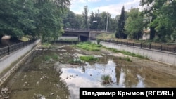 Зміліла та замулена річка Салгир у Сімферополі через відсутність скидів із Сімферопольського водосховища. 22 липня 2026 року