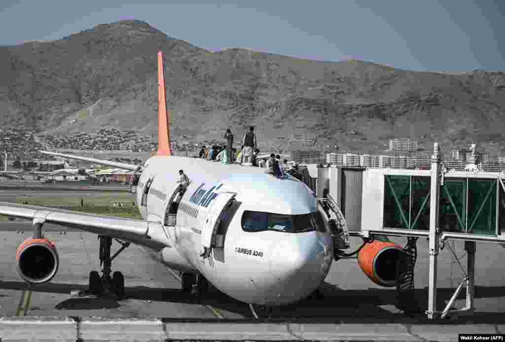 Афганцы вылезают на самолет, ожидая спасения в аэропорту Кабула