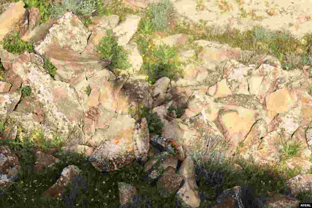 Qobustan qoruğu #27