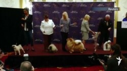 კალეიდოსკოპი