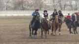 В кыргызском селе готовят польских коней к игре в аламан улак