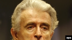 Radovan Karadzic in The Hague