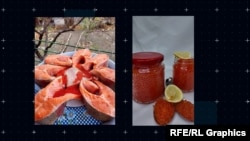 შეღებილი ცისარტყელა კალმახი და ხიზილალა