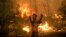 Un localnic, în timpul unei încercări de stingere a incendiilor forestiere de pe insula Evia (Euboea), a doua insulă ca mărime din Grecia, 8 august 2021.