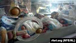 The sextuplets were born prematurely and are being kept in incubators.