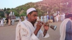 په کرک کې د ګورګورو ټولولو مېله