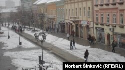 Novi Sad pokriven snegom, 15. mart 2013.