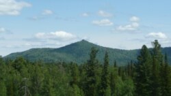 О Горной Шории и "племянниках президента"