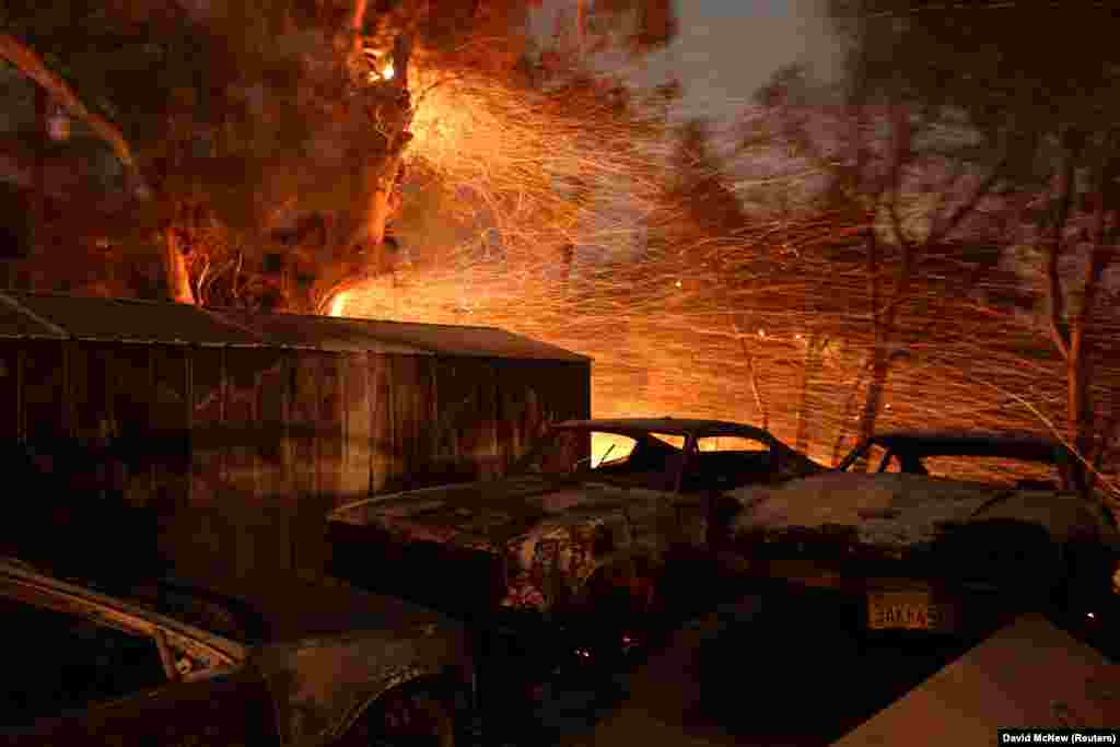 Embers blow from a tree shortly before it fell down near burned cars as strong winds pushed the Thomas Fire across thousands of acres near Santa Paula, California, on December 5. (Reuters/David McNew)