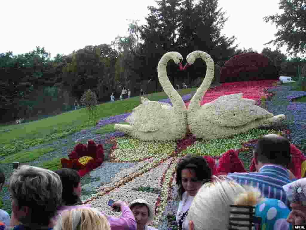 Київська міська виставка квітів - Київська міська виставка квітів 2008