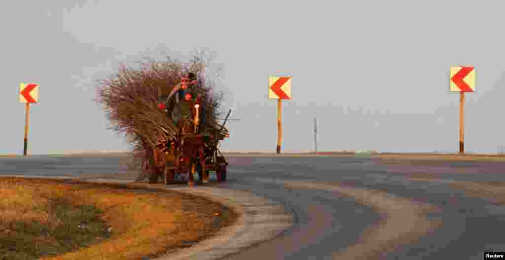 People carry firewood in their horse-driven cart at sunset on a road south of the Romanian capital, Bucharest. (Reuters/Bogdan Cristel)