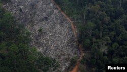 Въздушна снимка от обезлесяването на Амазония