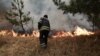 У Полтавській області через масштабну лісову пожежу евакуювали жителів села Собківка Новосанжарської селищної громади (фото архівне)