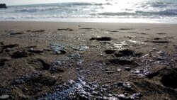 Крым: море, солнце и фекалии. Ремонт канализаций